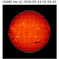 gong - 2026-05-24T02:00:42