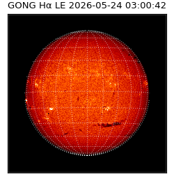 gong - 2026-05-24T03:00:42