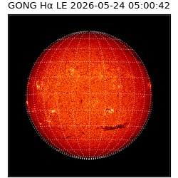 gong - 2026-05-24T05:00:42