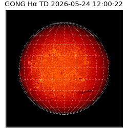 gong - 2026-05-24T12:00:22