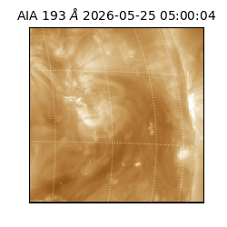 saia - 2026-05-25T05:00:04.842000