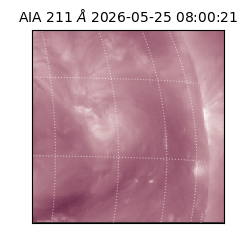 saia - 2026-05-25T08:00:21.623000