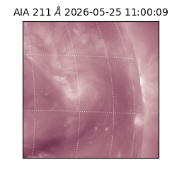 saia - 2026-05-25T11:00:09.623000