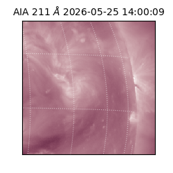 saia - 2026-05-25T14:00:09.623000
