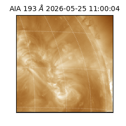 saia - 2026-05-25T11:00:04.842000