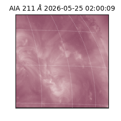 saia - 2026-05-25T02:00:09.622000