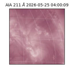 saia - 2026-05-25T04:00:09.623000