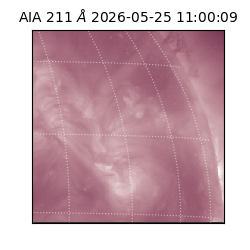 saia - 2026-05-25T11:00:09.623000