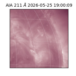 saia - 2026-05-25T19:00:09.622000