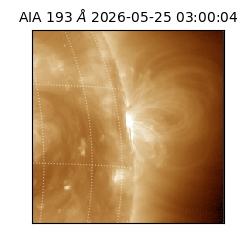saia - 2026-05-25T03:00:04.842000