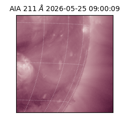 saia - 2026-05-25T09:00:09.621000