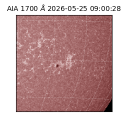 saia - 2026-05-25T09:00:28.720000