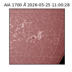 saia - 2026-05-25T11:00:28.743000
