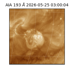 saia - 2026-05-25T03:00:04.842000