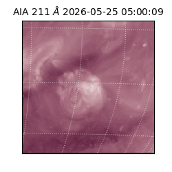 saia - 2026-05-25T05:00:09.624000