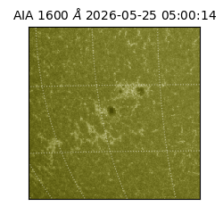 saia - 2026-05-25T05:00:14.123000