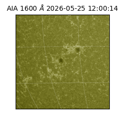 saia - 2026-05-25T12:00:14.123000
