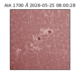 saia - 2026-05-25T08:00:28.720000