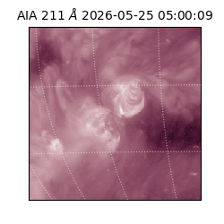 saia - 2026-05-25T05:00:09.624000