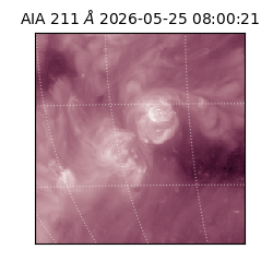 saia - 2026-05-25T08:00:21.623000
