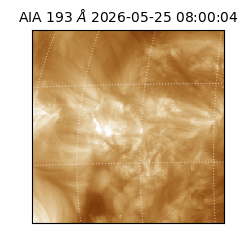 saia - 2026-05-25T08:00:04.842000
