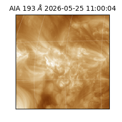 saia - 2026-05-25T11:00:04.842000
