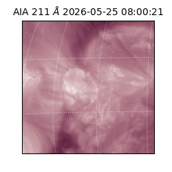 saia - 2026-05-25T08:00:21.623000