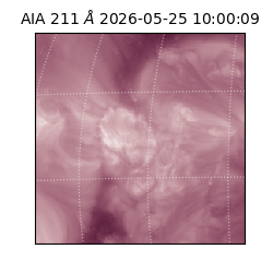 saia - 2026-05-25T10:00:09.623000