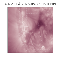 saia - 2026-05-25T05:00:09.624000