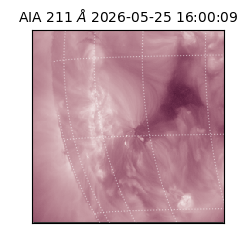 saia - 2026-05-25T16:00:09.623000