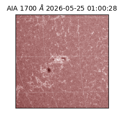 saia - 2026-05-25T01:00:28.716000