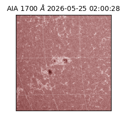 saia - 2026-05-25T02:00:28.717000