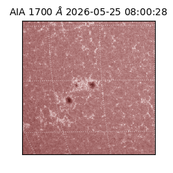 saia - 2026-05-25T08:00:28.720000