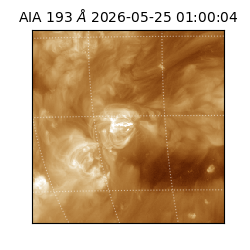saia - 2026-05-25T01:00:04.842000