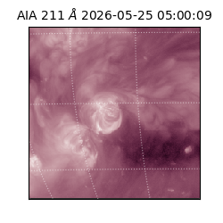 saia - 2026-05-25T05:00:09.624000