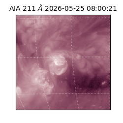 saia - 2026-05-25T08:00:21.623000