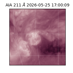 saia - 2026-05-25T17:00:09.621000