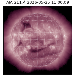 saia - 2026-05-25T11:00:09.623000