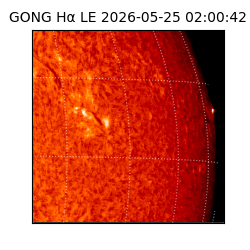 gong - 2026-05-25T02:00:42