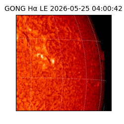 gong - 2026-05-25T04:00:42