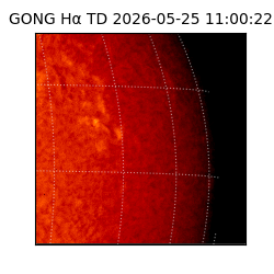 gong - 2026-05-25T11:00:22