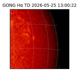 gong - 2026-05-25T13:00:22