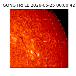 gong - 2026-05-25T00:00:42