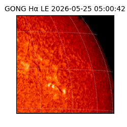 gong - 2026-05-25T05:00:42
