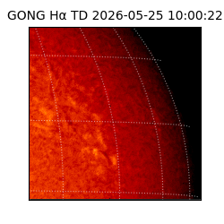 gong - 2026-05-25T10:00:22
