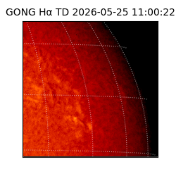 gong - 2026-05-25T11:00:22