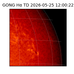 gong - 2026-05-25T12:00:22