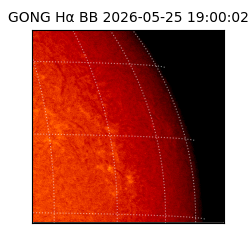 gong - 2026-05-25T19:00:02