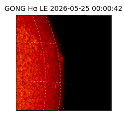 gong - 2026-05-25T00:00:42