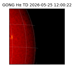 gong - 2026-05-25T12:00:22